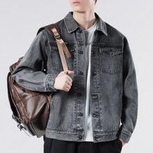 ��ʿ��ʽţ�����׸߼���Ʀ��2025���＾�¿�ƶ���A��ţ������