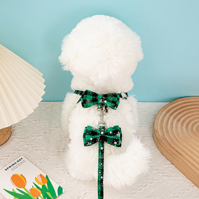 눈송이 가슴과 등 녹색