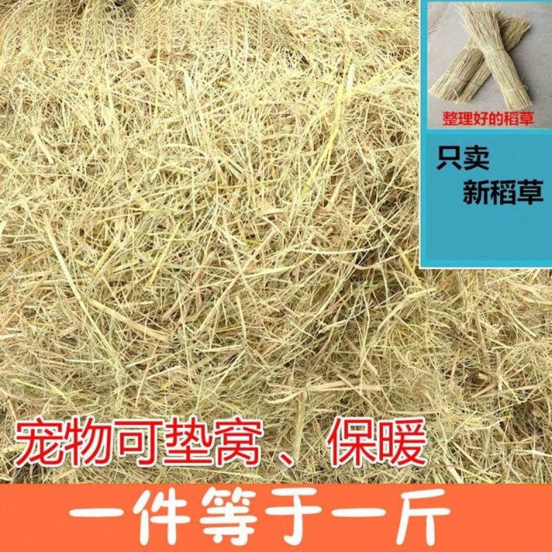 Natural Dried Straw Bedding for Rabbits, Winter Straw Doghouse, Chicken Pet Nest, Natural Dry Rice Straw, Wheat Straw, Grass