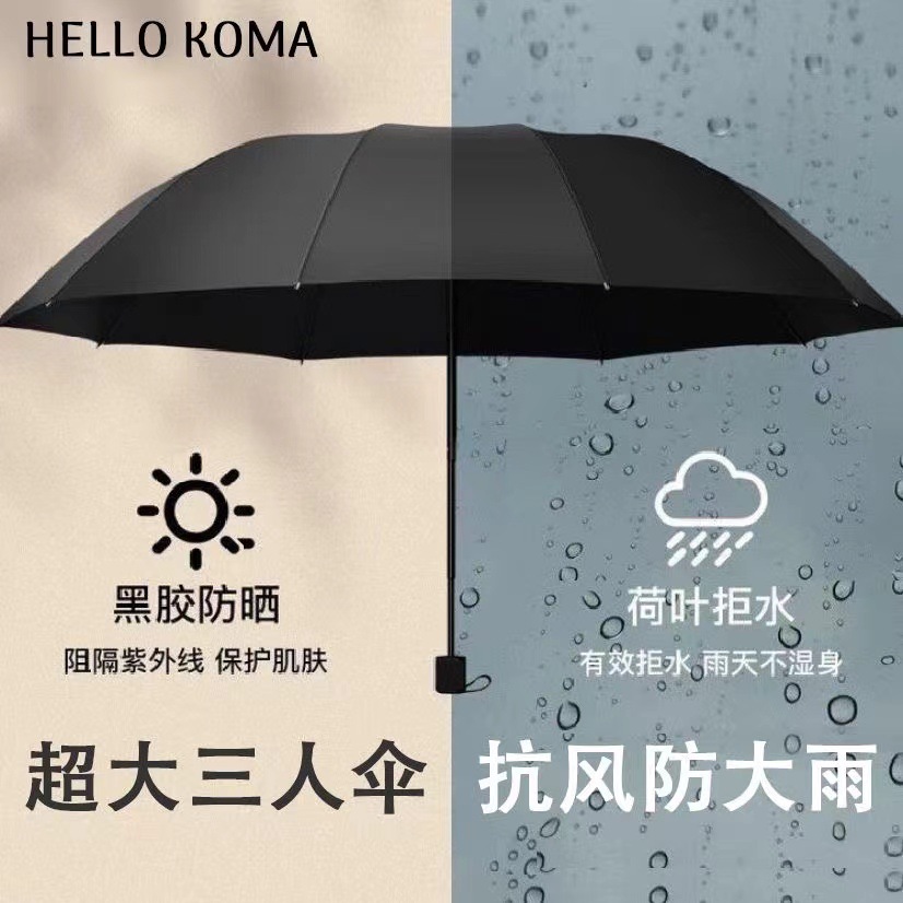 微信图片_20240911144446