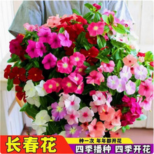 LNմļN_׻ͥԺԻ҃÷N