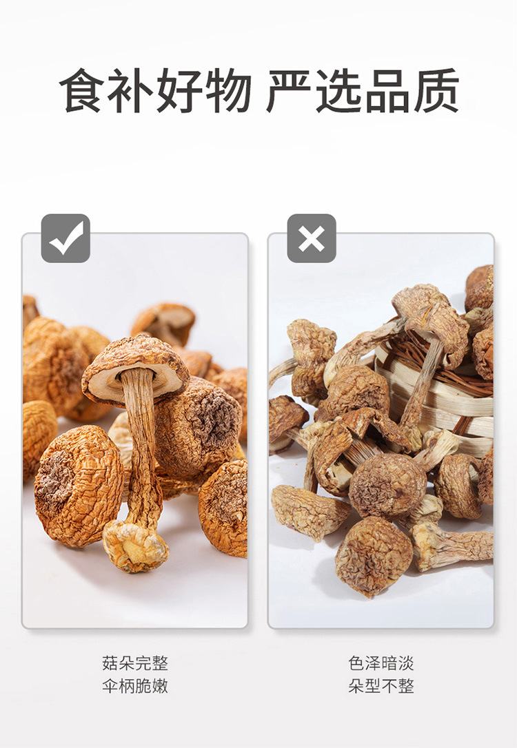 Dried Agaricus Blazei Mushrooms Ji Song Rong 500g Natural Culinary Fungi for Soup Broth and Stews overview