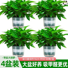 ~G}҃ȿ͏dȩ՚ֲGֲkҾGjl