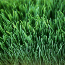 ���l���� �ϻ���ޣ ����� ���ײ� �a�߼���������ϷN��