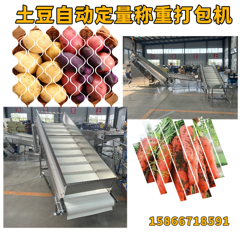 双工位土豆分拣机器  红薯 土豆自动称重机器