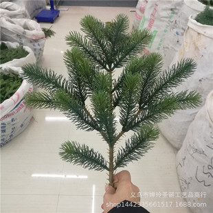 ����ֲ�������֦ �}�Q���}�QȦ�b����֦ ���uͨ���|؛Դ���l