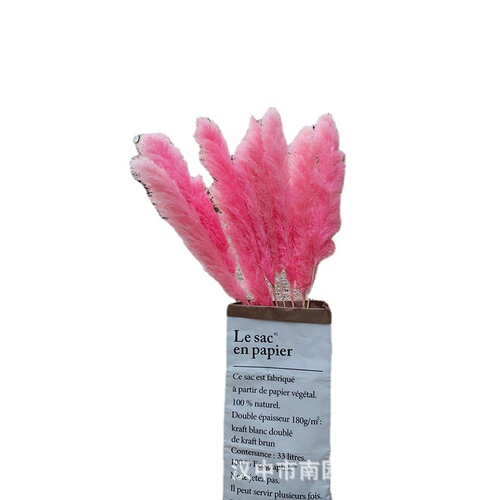 Wholesale natural reed dried flowers large reed flowers wedding home decoration ornaments simulated reed bouquets Valentine's Day