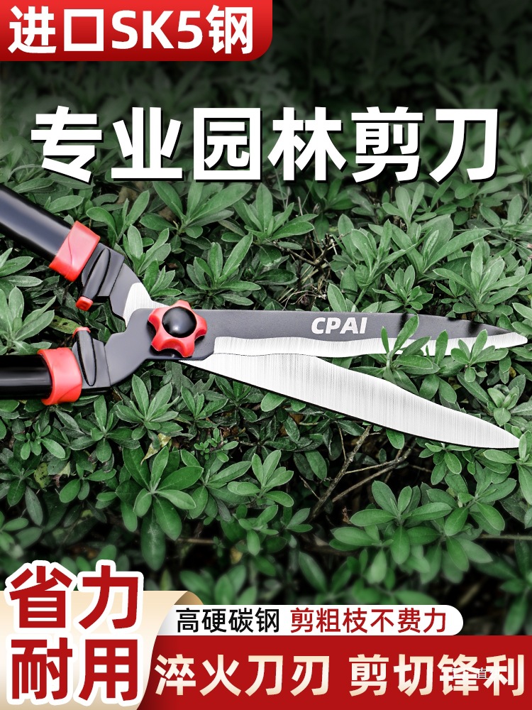 园艺大剪刀园林花剪修枝剪绿化草坪专用绿篱剪强力修剪树枝粗鎏金