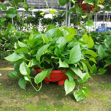 G}҃ȴGֲLپG}ش軨·ֲȩ