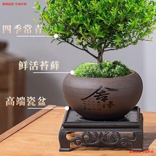 ��z�ľС�~����辰�Ϙ������绨���k���҃�����С�Gֲ���B�ļ�
