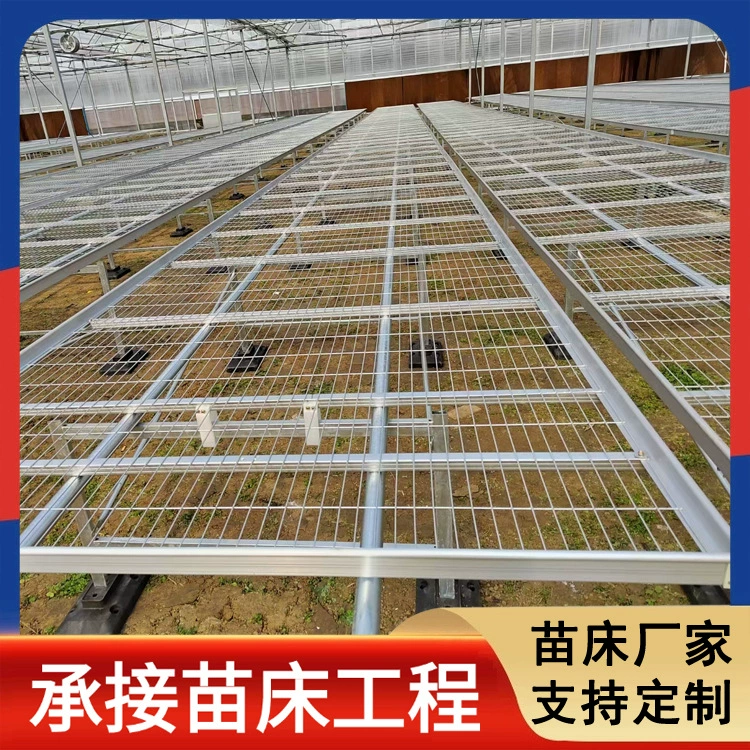 Производители поставляют съемные стационарные кровати для рассады с горячим цинкованием