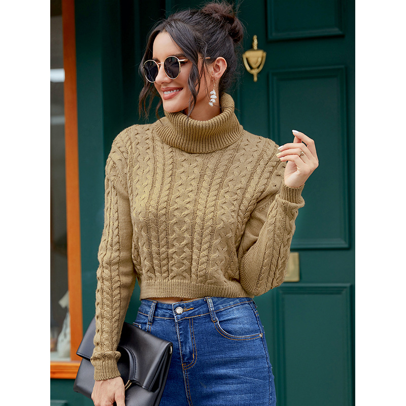 solid color long-sleeved turtleneck sweater  NSSA25919