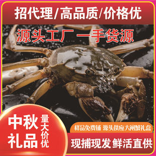 ���lзԴ�^������\�и��������N�� ��I��ُ ���ط���؛з�r�Ԯa