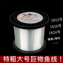 锚鱼专用线大物青鲟鱼线大号粗线500米/100M鱼线主线海竿海钓线