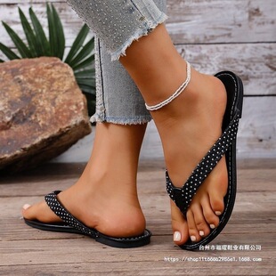 2026�羳�����c�c�Aֺ���������l��ɫ������^�F؛��������ë�q