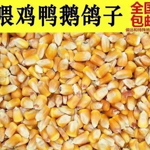 ���������l100���Bֳ����ɢ�b������ι�u���Z�i������~��C���]