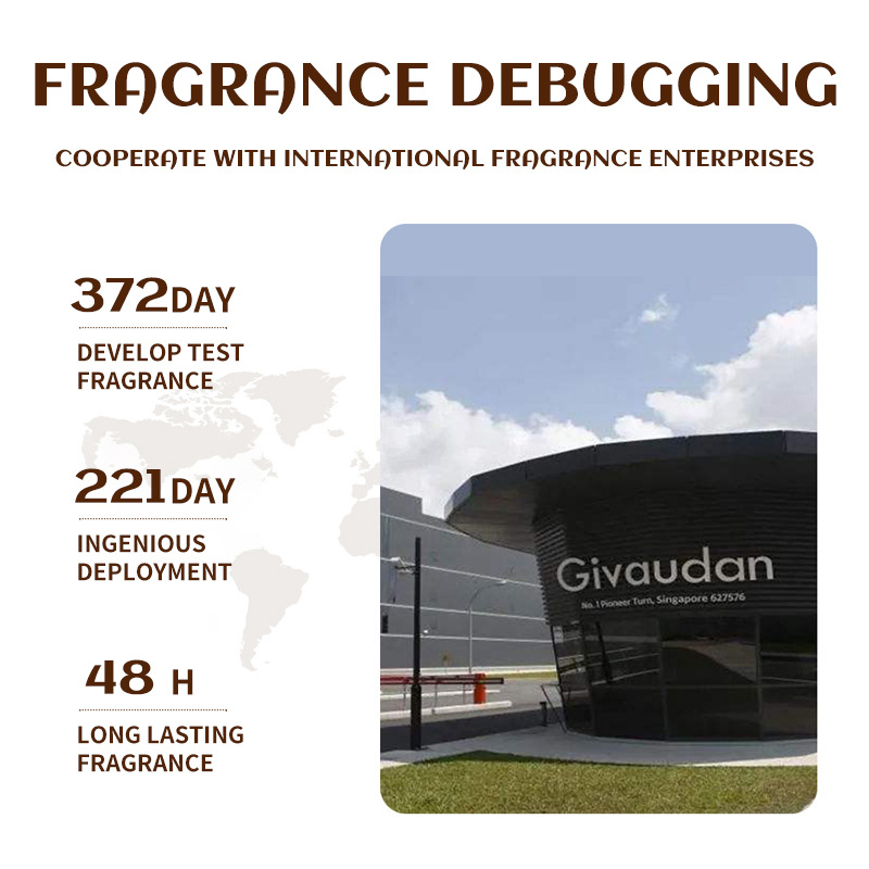 Champú de coco en inglés completo, champú suave e hidratante de aminoácidos, limpiador suave, 500ml, lote de comercio exterior transfronterizo