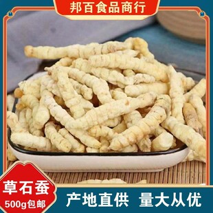 草石蚕中药材正品地蚕土冬白虫草泽兰根地参地虫甘露子汤料草食蚕-阿里巴巴