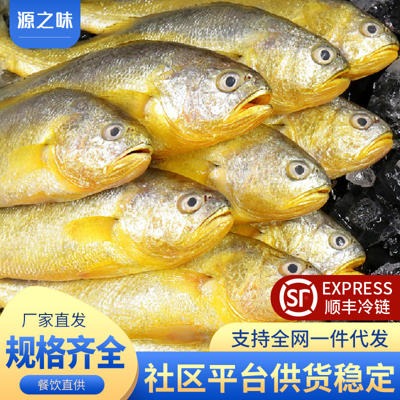 小黄花鱼海捕冷冻小黄鱼非大黄鱼深海鱼海鲜水产商用批发包邮编辑