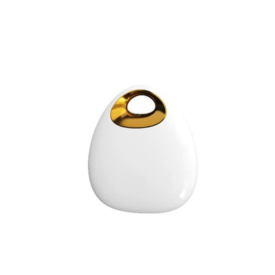 GPS Locator – and Keys, Cross-Border
