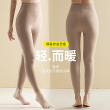 �½q�o����ѝŮ�ȴ��ﶬ���ӽq�Ӻ�ůѝ��a������ëѝ��׾�ѝ