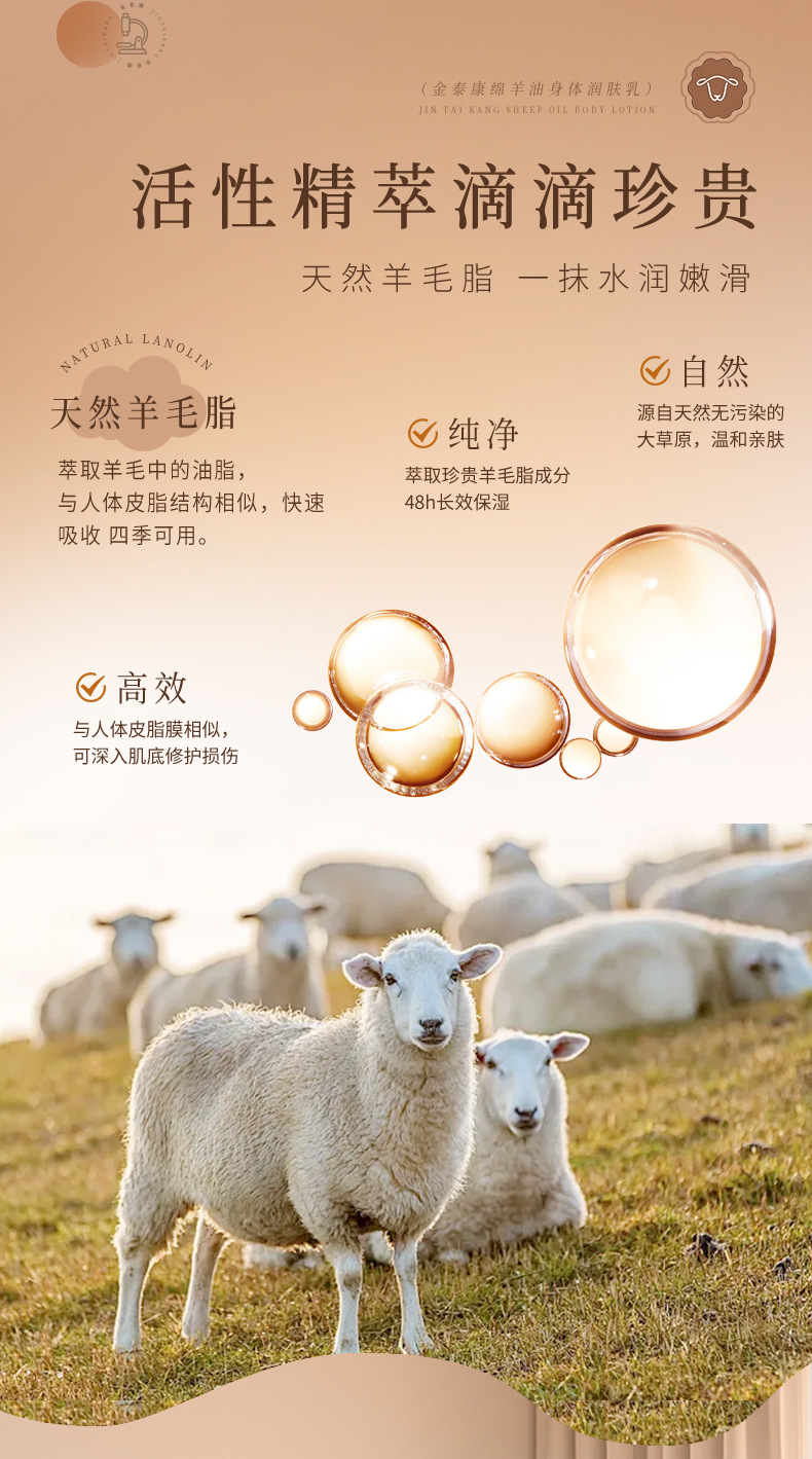 Jintaikang Gardenia Astragalus Sheep Oil Body Lotion Autumn Winter Moisturizing Long Lasting Fragrance 520g in use