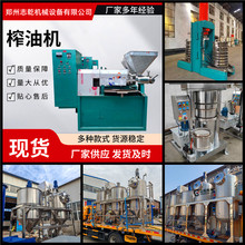 大型商用榨油机 低温生榨山茶籽油机器 志乾带壳核桃炸油设备工厂