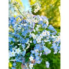 �����һ��N���ļ����N�_�������׻��̨ͥԺ�����ݵ���ؾW�t���N