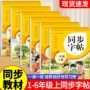 语文小学生同步字帖