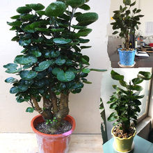 ����ͩ���X�����Դ���Ϙ��辰�͏d�҃��ļ����໨�����ԾGֲ