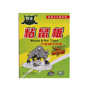 Bailin Sticky Mouse Boards Wholesale in Stock, Mouse Traps, Mouse Glue, Rodent Control Tools with Bait, Thickened Insecticide