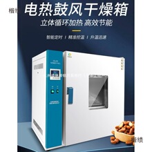 电热鼓风干燥箱恒温小型烘箱老化实验室烘干箱工业高温烤箱烘干机