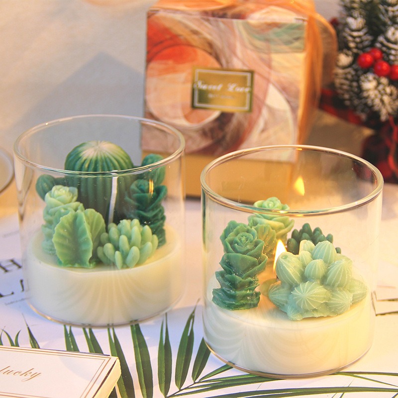 Transfronteriza ins suculenta planta en maceta cactus aromaterapia vela cera de soja decoración de vidrio para novias y amigos