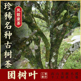 【凤姐家茶 团树叶】乌岽单丛茶 高山单枞茶叶凤凰中秋茶礼礼盒装