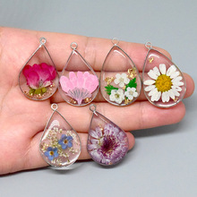 ˮ�����r�ոɻ�ֲ���֬��߅����DIY���»�����h��耳׿����