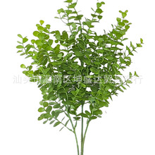 ����ֲ�� ���3�懊ɫ�f���ȼ��� �ҾӾGɫ�����b� �廨�҃Ȕ[��