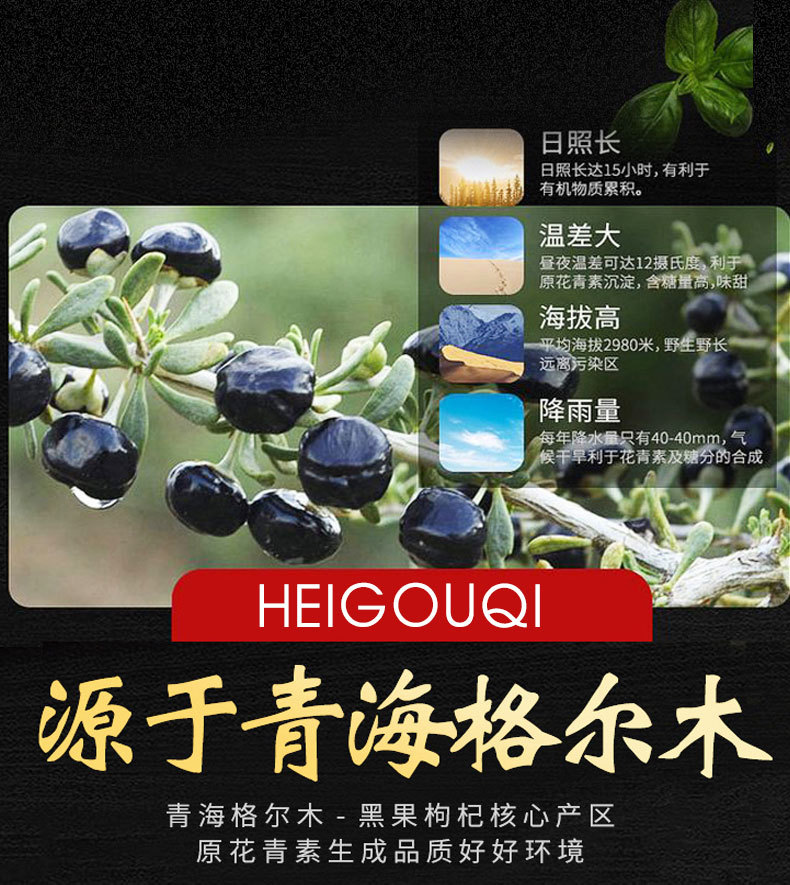 Black Goji Berry (Lycium ruthenicum) — Premium Qinghai Dried Fruit, 500g quality and texture