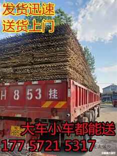 ���_�ּܹ����������Ƭë�����h�ʰ���ܷ��o����������̫��
