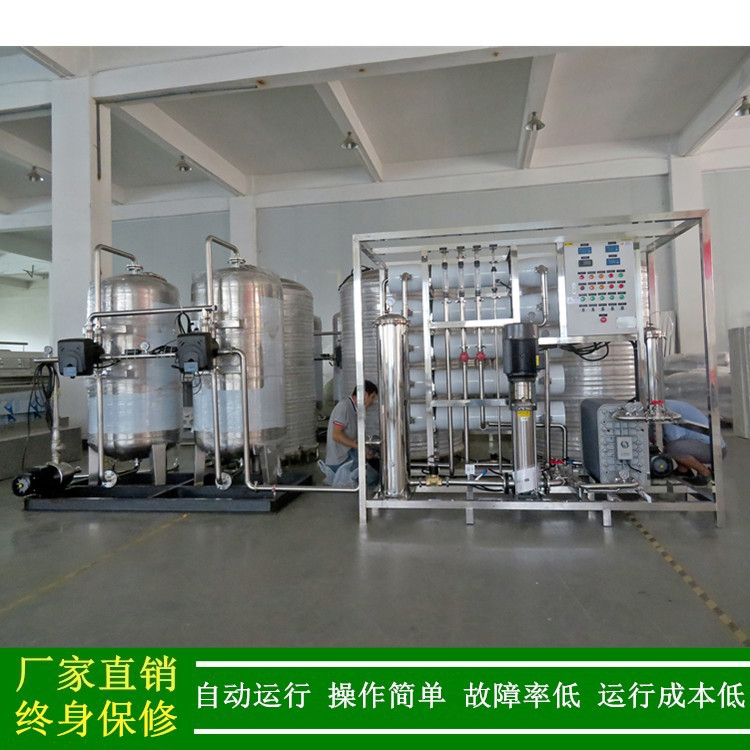 供应0.5T-50T/HEDI纯水EDI电除盐高纯水机双级反渗透工艺
