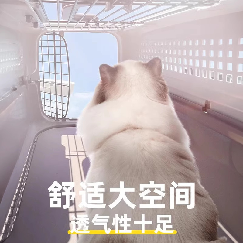 Caja de aire para mascotas, caja de envío para perros, jaula de gato, jaula de perro portátil, bolsa de gato para perros pequeños