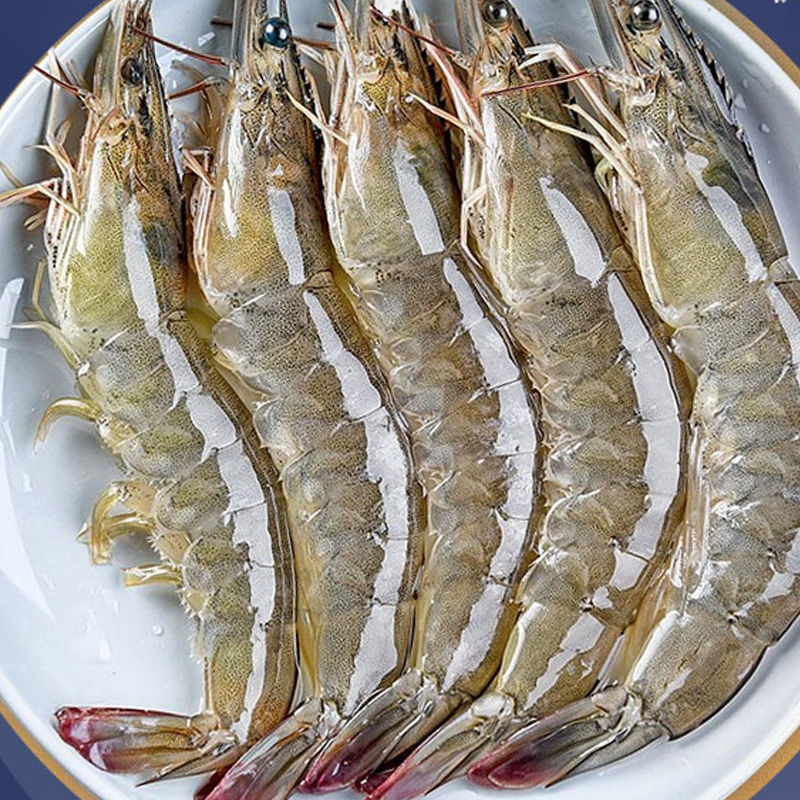 新鲜大虾一箱鲜虾活虾冷冻青岛基围虾大对虾海鲜批发