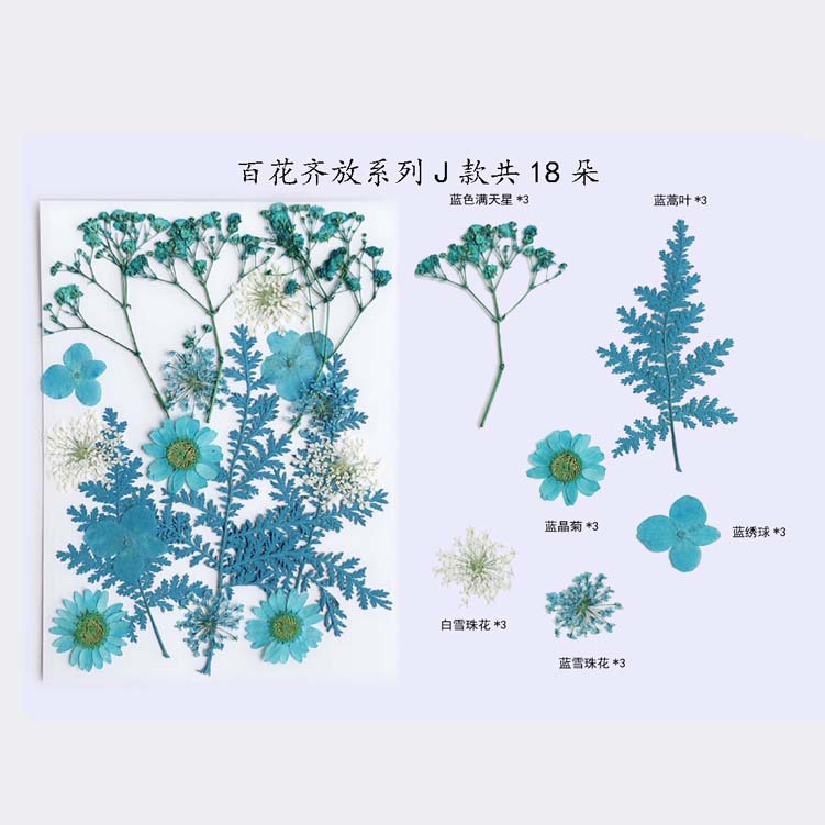 Paquete de material en relieve jardín de infantes en relieve DIY marcador epoxi flor seca caja del teléfono en relieve planta muestra