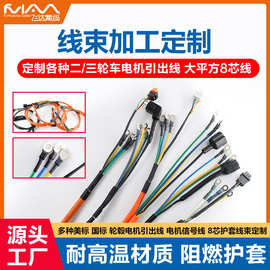 线束定制电机线耐高温控制线轮毂电机两轮电瓶车整车线束8芯线束