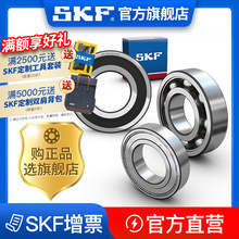 skf˹P SֱN S 6021 ϵ ̖Rȫ