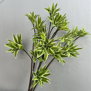 ������¶�ݰٺ��� ����ֲ���~�ĔzӰ�������Խ�߅�ٺ���Ҿ��b�