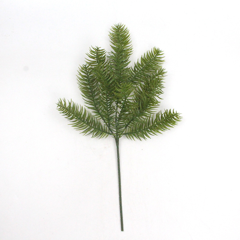 刺杉 XRB-333 (7).jpg