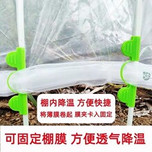 大棚压膜夹子园艺包塑钢管扣玻纤杆花拱棚温室花暖房遮阳网薄膜扣