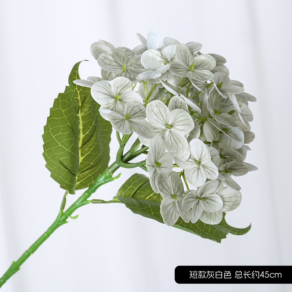 짧은 수국 회색 흰색