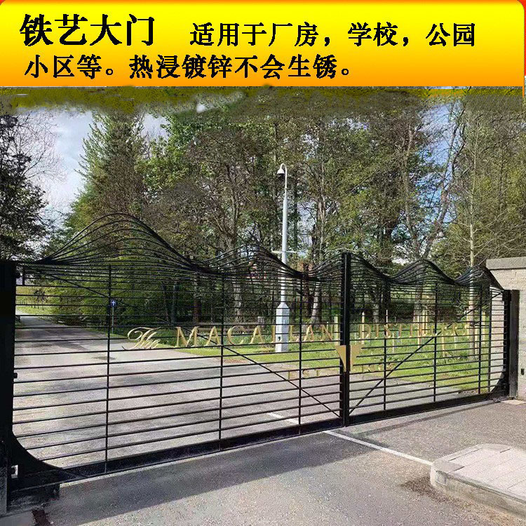 Customized Outdoor Large Iron Gate, European-Style Wrought Iron Gate, Fire Exit Gate, Remote-Controlled Courtyard Gate, Entrance Gate, Double-Door Gate