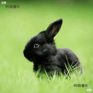 �� ���û�����С����С���ñȡ������r���ÿɷ�ֳ��ʳ�ü���̫��